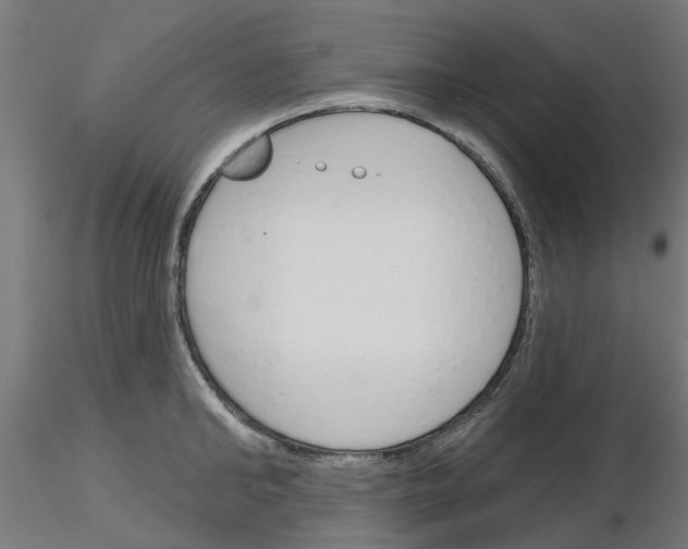 X0000116150902201001041051