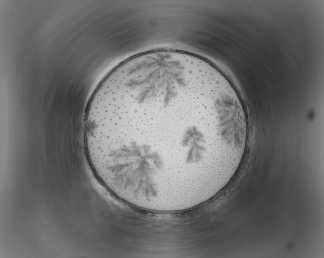 X0000116150903201001041051