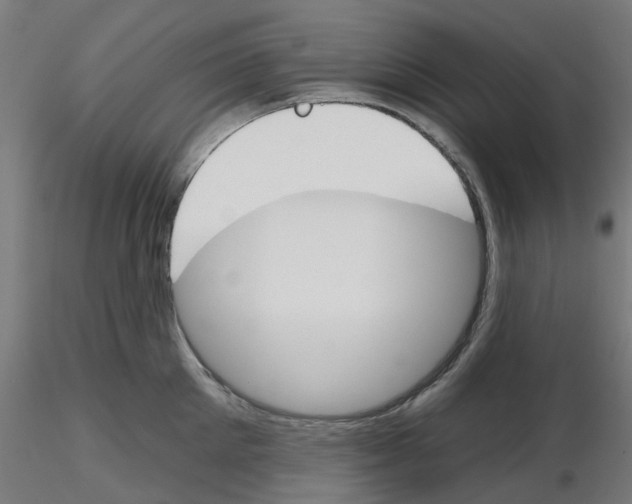 X0000116150905201001041051