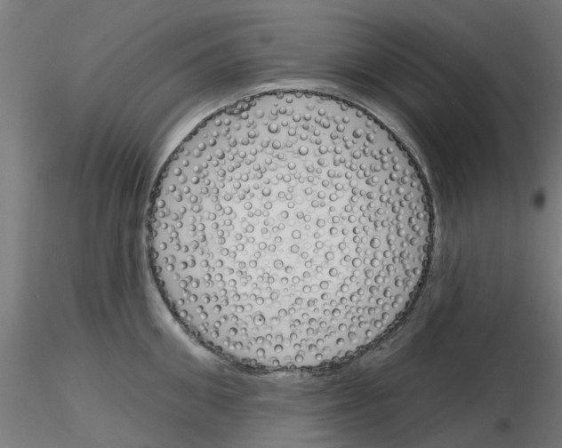 X0000116150906201001041051