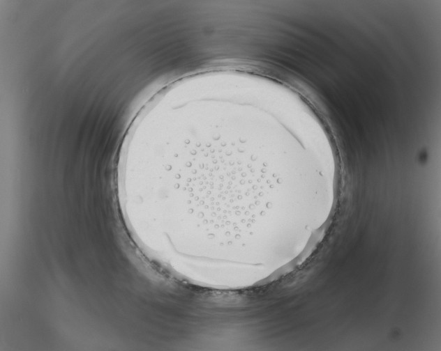 X0000116150907201001041051