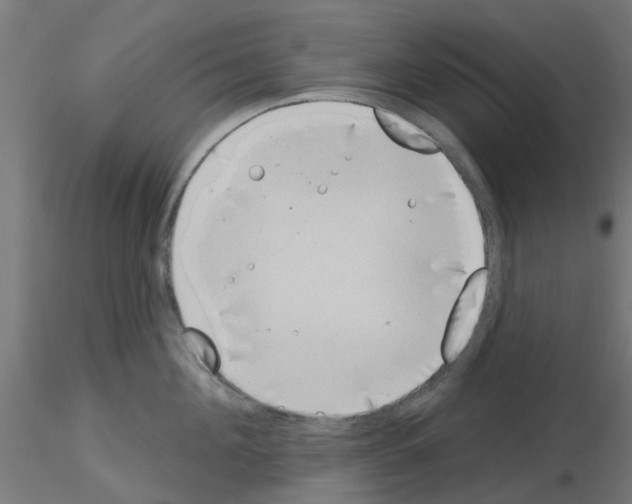 X0000116150908201001041051