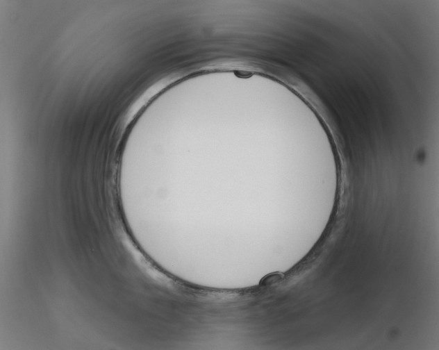 X0000116150909201001041051