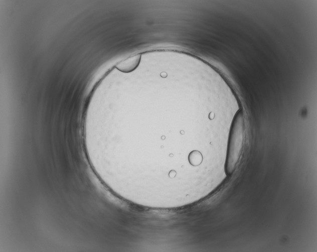 X0000116150910201001041051