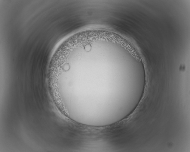 X0000116150912201001041051