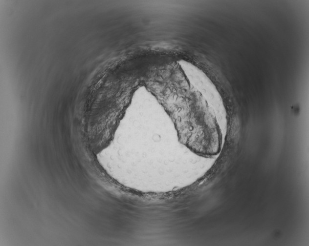 X0000116150913201001041050