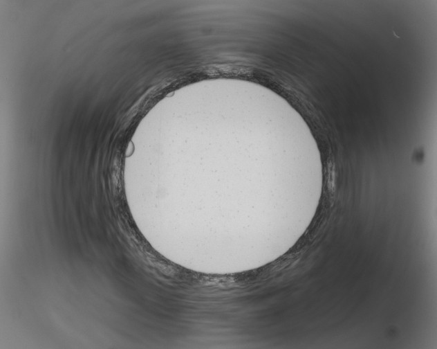 X0000116150915201001041050