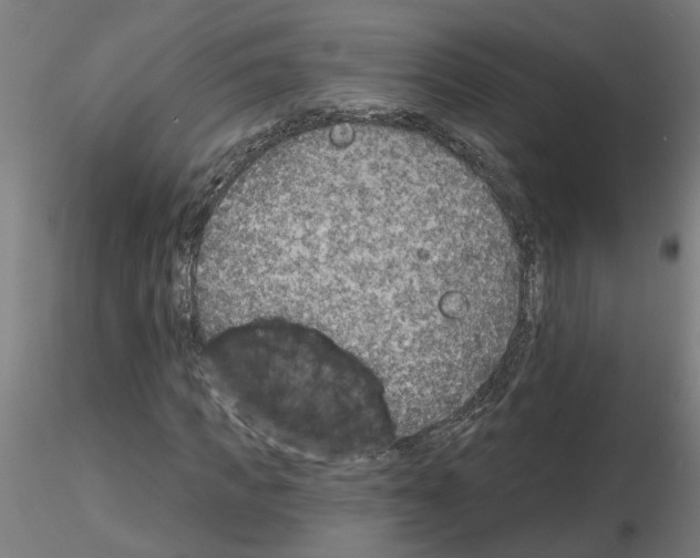 X0000116150917201001041050