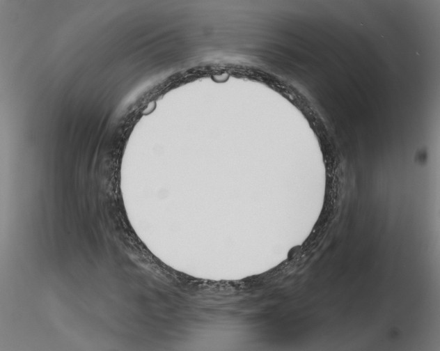 X0000116150919201001041050