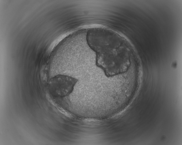 X0000116150921201001041050