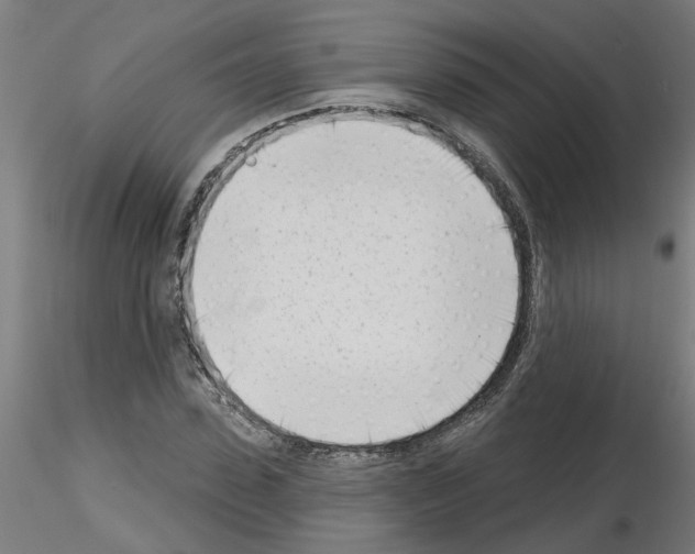 X0000116150923201001041050