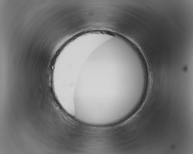 X0000116150925201001041050