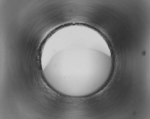 X0000116150926201001041050