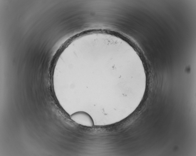 X0000116150927201001041050