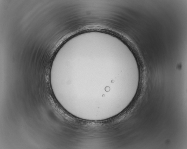 X0000116150929201001041050