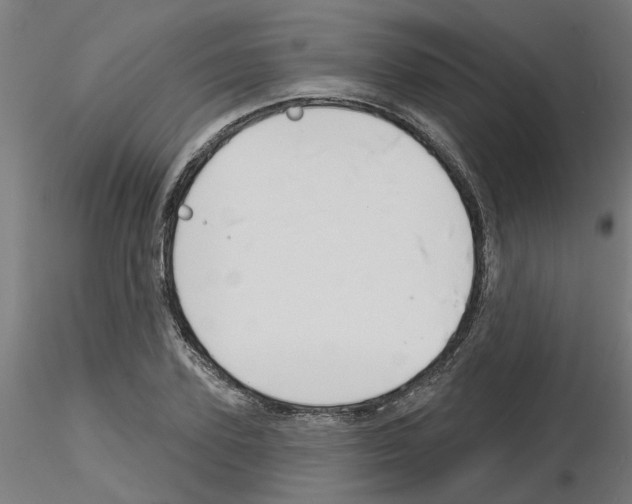 X0000116150931201001041050