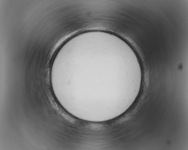 X0000116150933201001041050