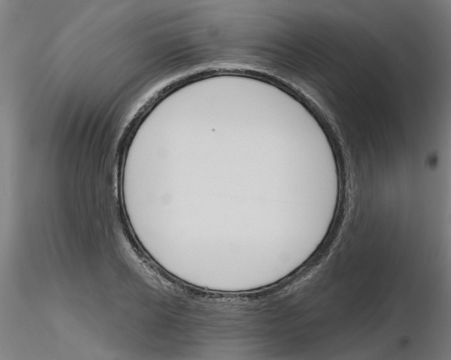 X0000116150934201001041050