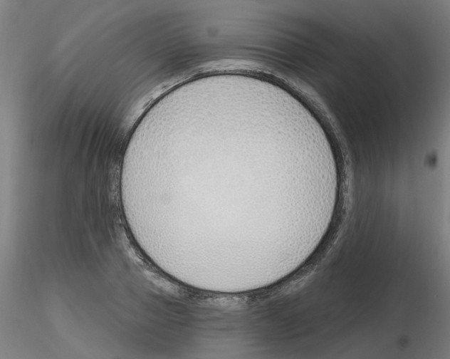 X0000116150937201001041050