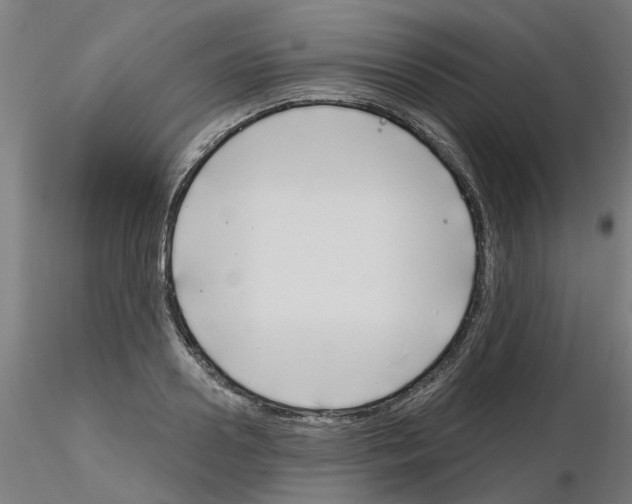 X0000116150938201001041050