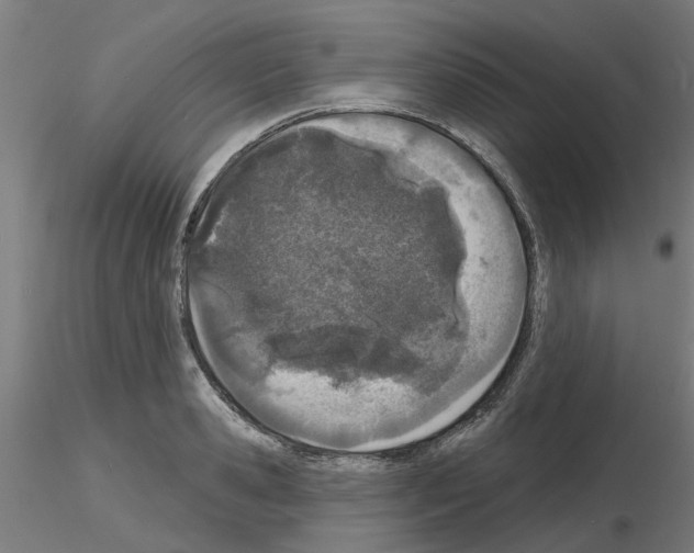 X0000116150941201001041050