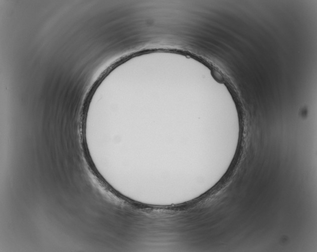 X0000116150942201001041050