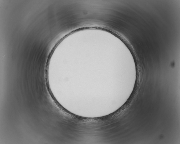 X0000116150943201001041050