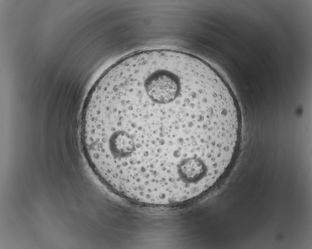 X0000116150949201001041050