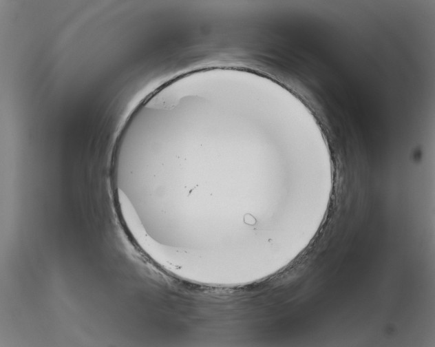 X0000116150950201001041050