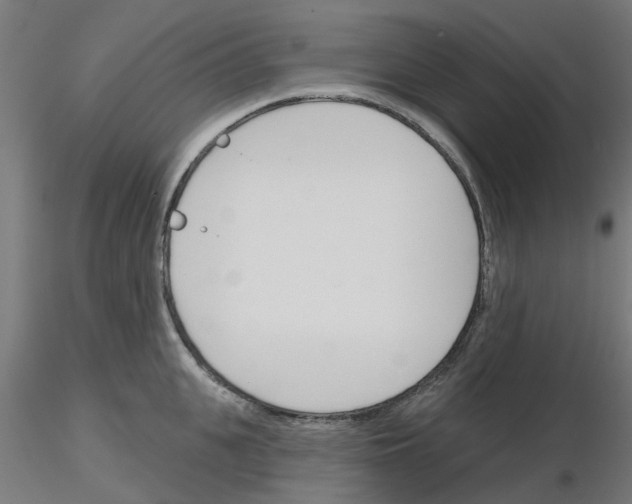 X0000116150951201001041050