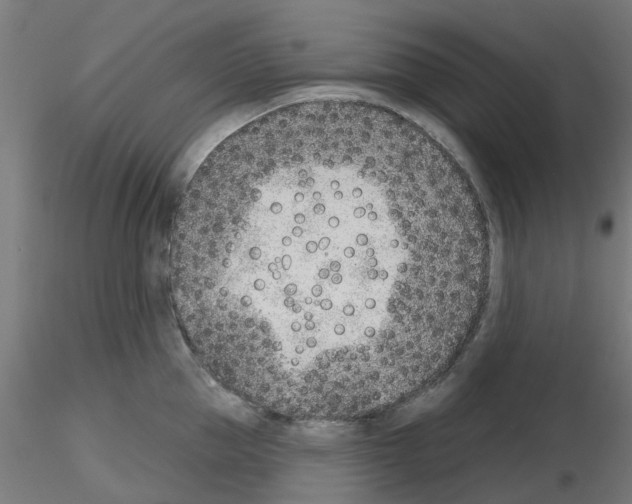 X0000116150953201001041050