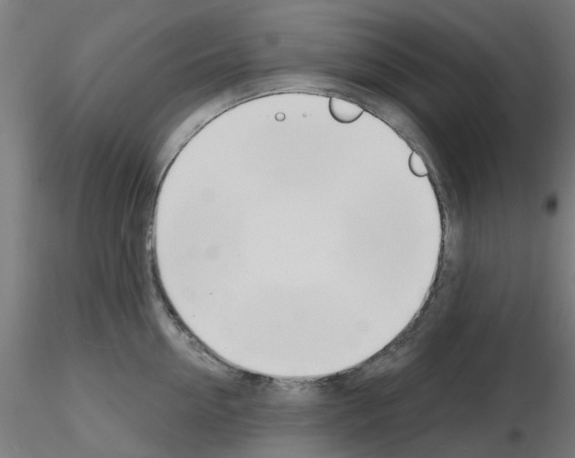 X0000116150954201001041050