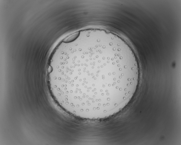 X0000116150955201001041050