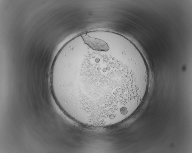 X0000116150957201001041050