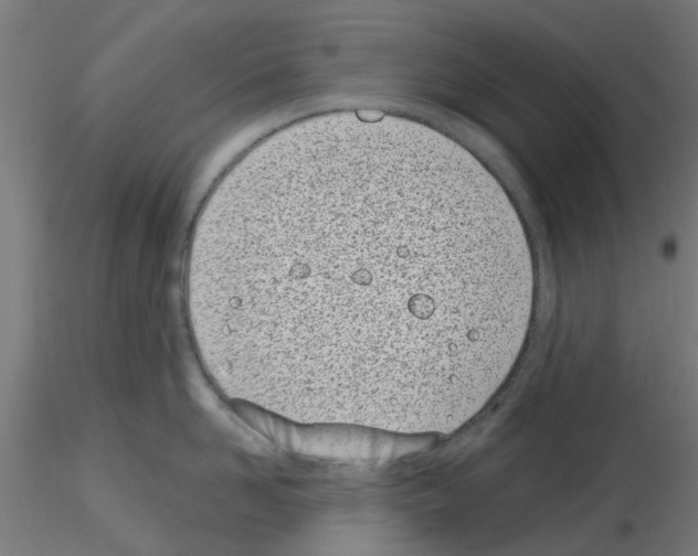 X0000116150958201001041050