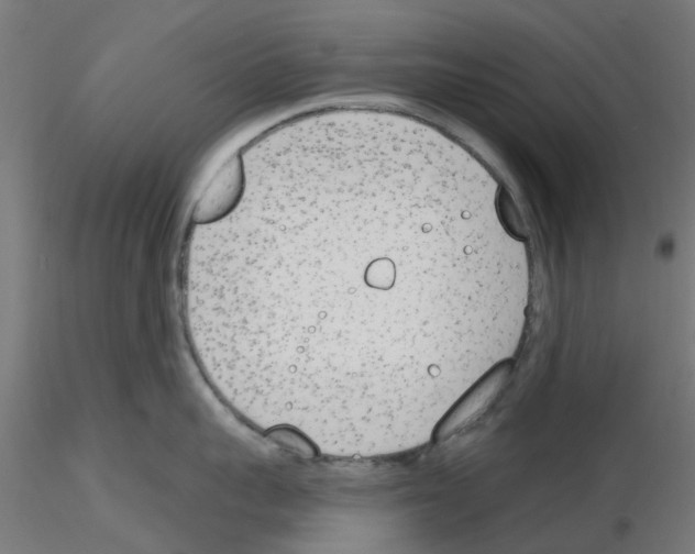 X0000116150959201001041050