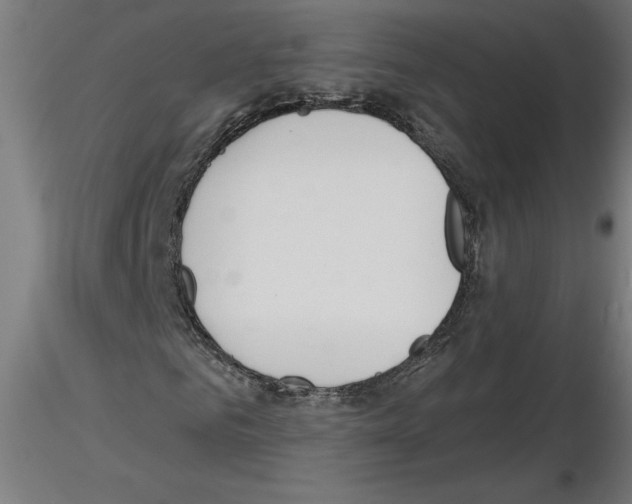 X0000116150961201001041050