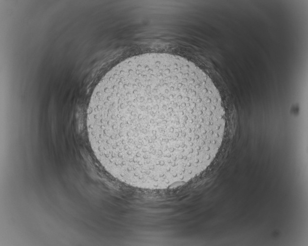 X0000116150962201001041050