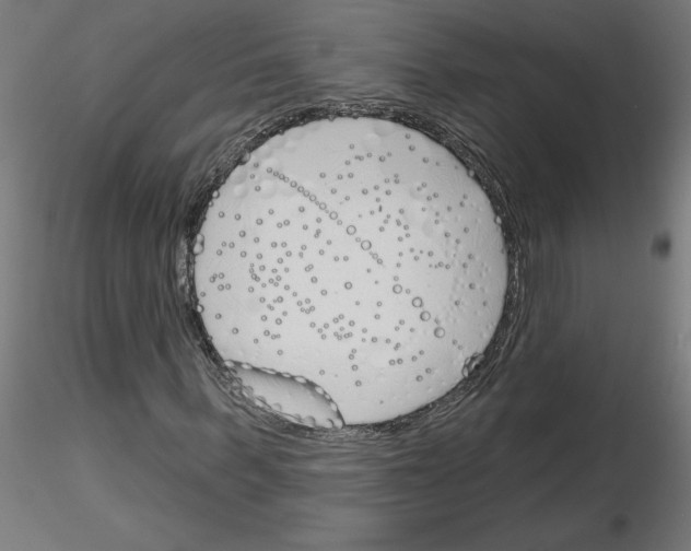 X0000116150963201001041050