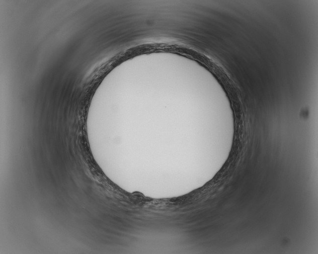 X0000116150967201001041050