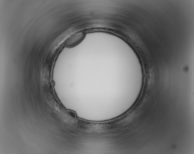 X0000116150969201001041050