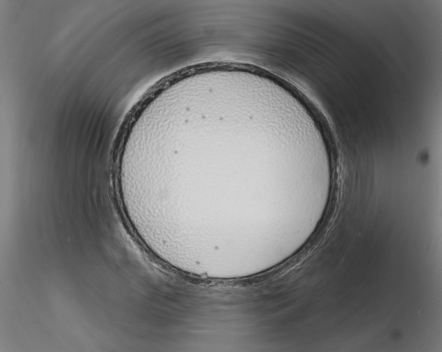 X0000116150972201001041050