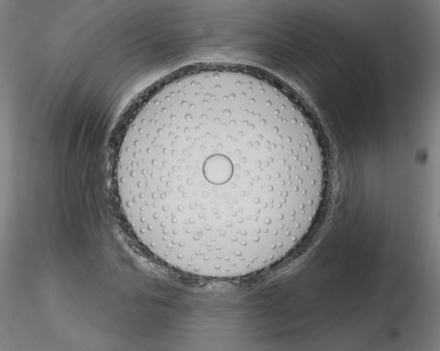 X0000116150974201001041050