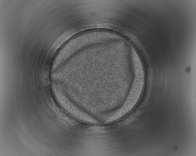 X0000116150977201001041050