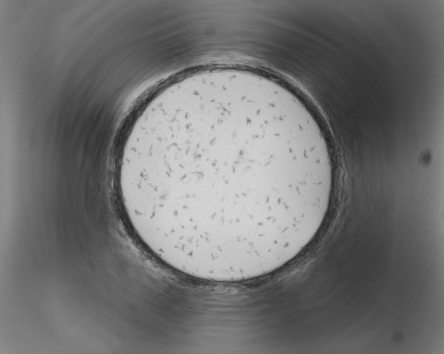 X0000116150979201001041050