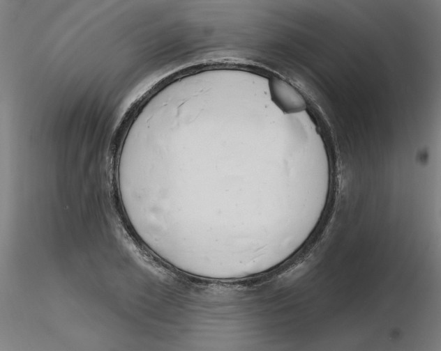 X0000116150981201001041050