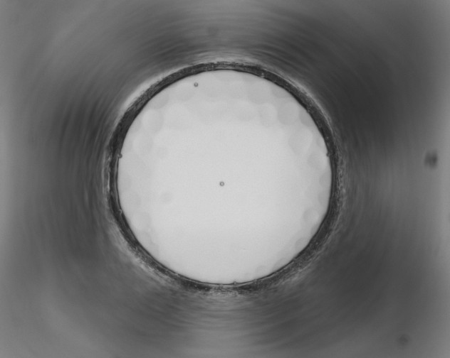 X0000116150983201001041050