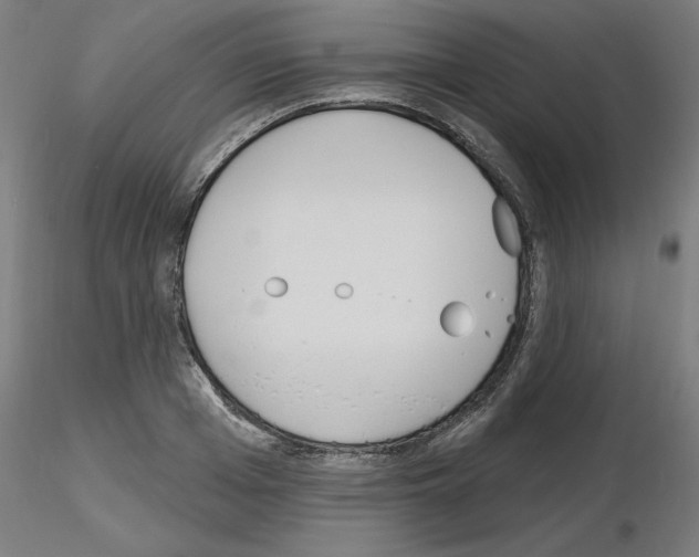 X0000116150985201001041050