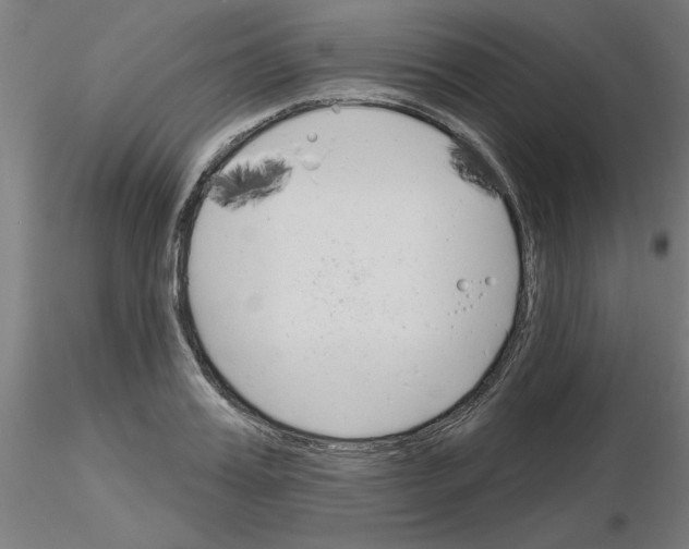 X0000116150987201001041049