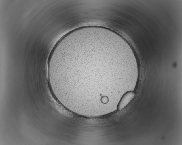 X0000116150988201001041049